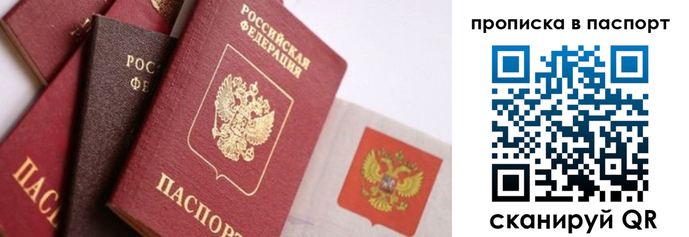 прописка штамп в Чкаловске